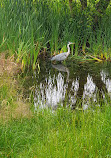 Happy Valley Nature Reserve