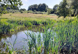 Happy Valley Nature Reserve