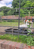 Heaton Park Animal Centre