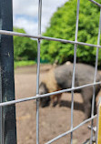 Heaton Park Animal Centre