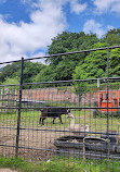 Heaton Park Animal Centre