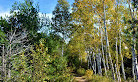 Lake Laurentian Loop