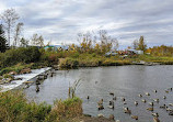 Fielding Bird Sanctuary