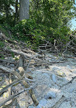 Lighthouse Point Provincial Nature Reserve