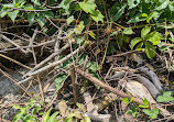 Lighthouse Point Provincial Nature Reserve