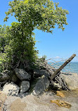 Lighthouse Point Provincial Nature Reserve