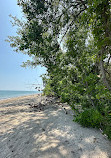 Lighthouse Point Provincial Nature Reserve