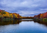 Cedar Creek Conservation Area