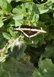 Two Creeks Conservation Area