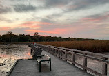 Marsh Board Walk