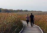 Marsh Board Walk