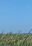 Marsh Board Walk