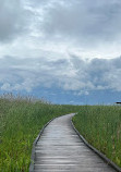 Marsh Board Walk