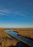 Marsh Board Walk