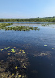 Marsh Board Walk