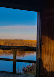 Marsh Board Walk