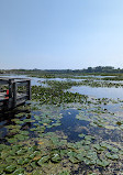 Marsh Board Walk