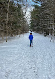 Pittock South Shore Trail