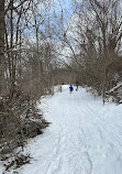 Pittock South Shore Trail