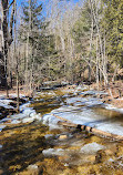 Silver Creek Conservation Area