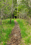 Bruce Trail