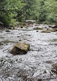 Bruce Trail