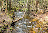 Bruce Trail