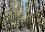 Cold Creek Conservation Area