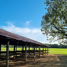 Camden Showground