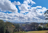 Lions Lookout