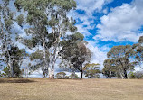 Lions Lookout