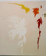 Clyfford Still Museum