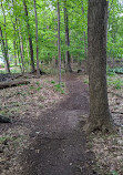 Bluegrass Park and Nature Preserve