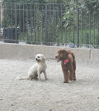 Carl Schurz Park Dog Runs