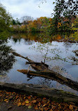 Gallup Park Boat Launch Parking