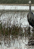 Everglades Safari Park