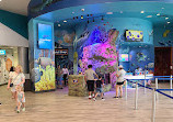 SEA LIFE Orlando Aquarium