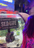 SEA LIFE Orlando Aquarium