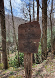 Shining Creek Path Trail Head