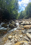 Shining Creek Path Trail Head