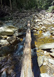 Shining Creek Path Trail Head