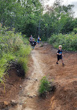 Graveyard Fields Loop Trail