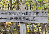 Graveyard Fields Loop Trail