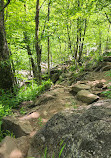 Graveyard Fields Loop Trail