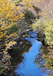 Graveyard Fields Loop Trail