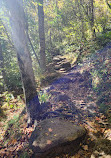 Graveyard Fields Loop Trail