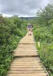 Graveyard Fields Loop Trail