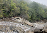 Graveyard Fields Loop Trail