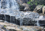 Graveyard Fields Loop Trail