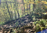 Graveyard Fields Loop Trail